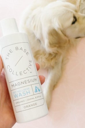 Is magnesium good for dogs? Yes! We list the health benefits of magnesium for dogs - including the best products and how to use them in simple steps.
