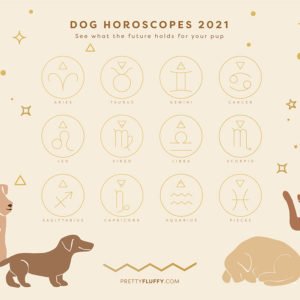 Dog Horoscopes 2021_See what the future holds for your pup_Pretty Fluffy