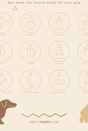 Dog Horoscopes 2021_See what the future holds for your pup_Pretty Fluffy