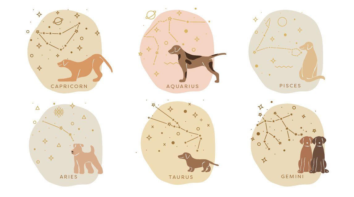 Dog Horoscopes - dog zodiac signs