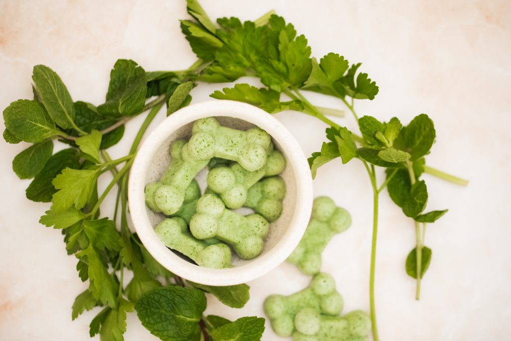 DIY Doggy Fresh Breath Treats
