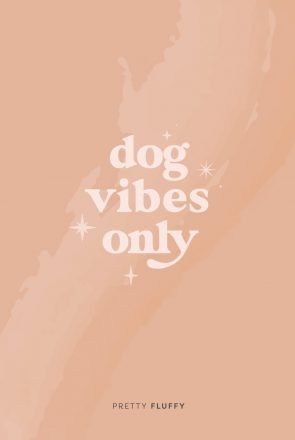 'Dog-Vibes-Only'-Free-Screensaver