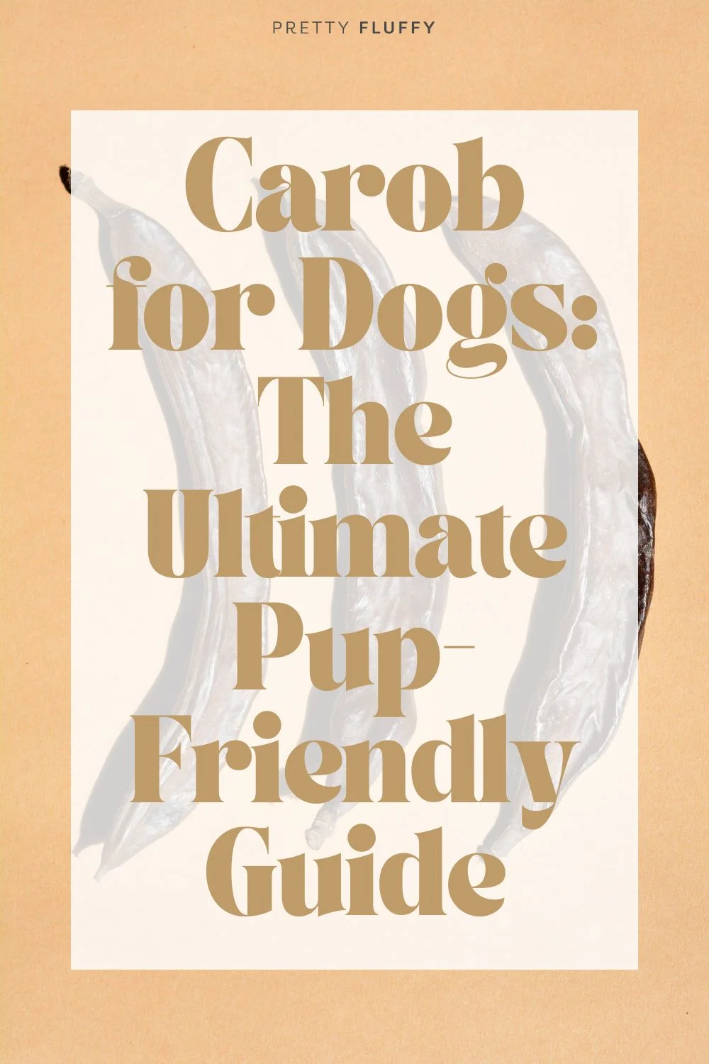 Two dogs licking carob. Carob for Dogs: The Ultimate Pup-Friendly Guide
