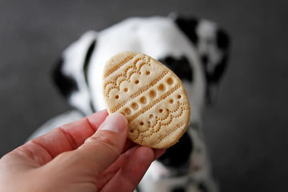 Fun and Fancy Easy Easter Egg Dog Treats