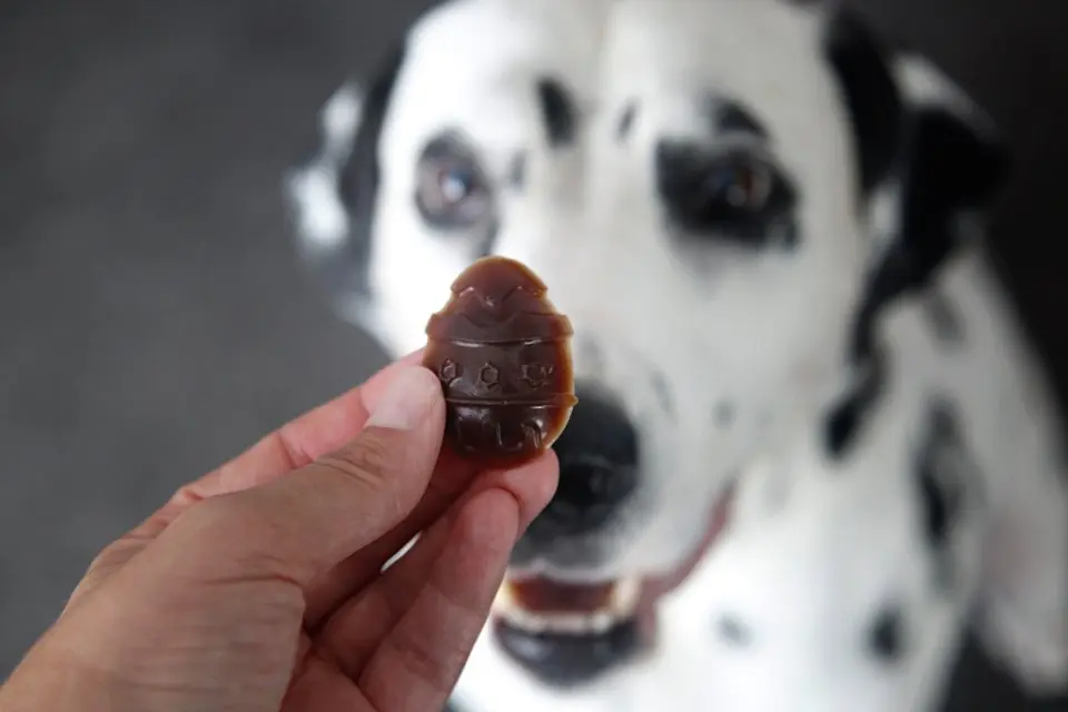 Easter treats for dogs: Carob Gummy Easter Dog Treats by Dalmatian DIY