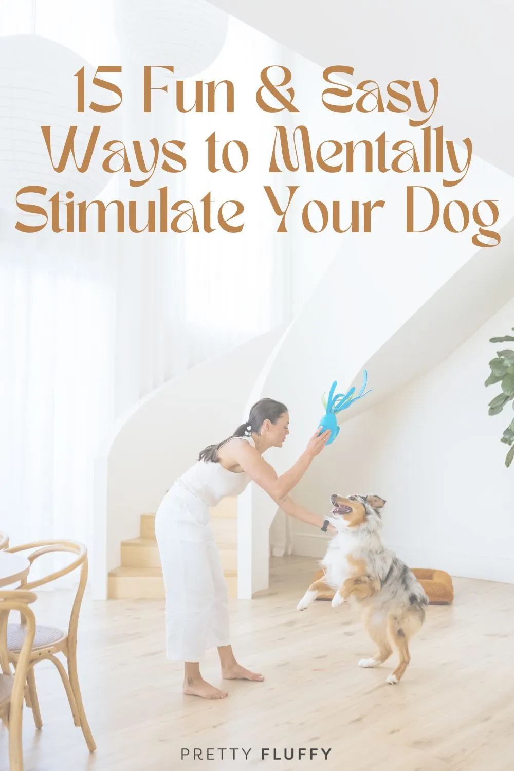 Ideas to mentally stimulate your dog and keep them happy and content