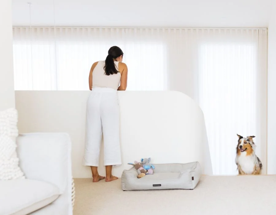 15 Fun & Easy Ways to Mentally Stimulate Your Dog