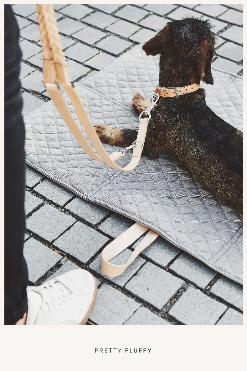 Mia Cara | Bergamo Long Lead |Editor's Picks- 10 Designer Dog Collars, Leashes & Harnesses