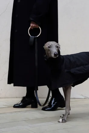 Boo Oh Editor's Picks- 10 Designer Dog Collars, Leashes & Harnesses