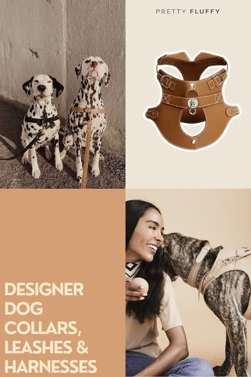Editor's Picks 10 Designer Dog Collars, Leashes & Harnesses 