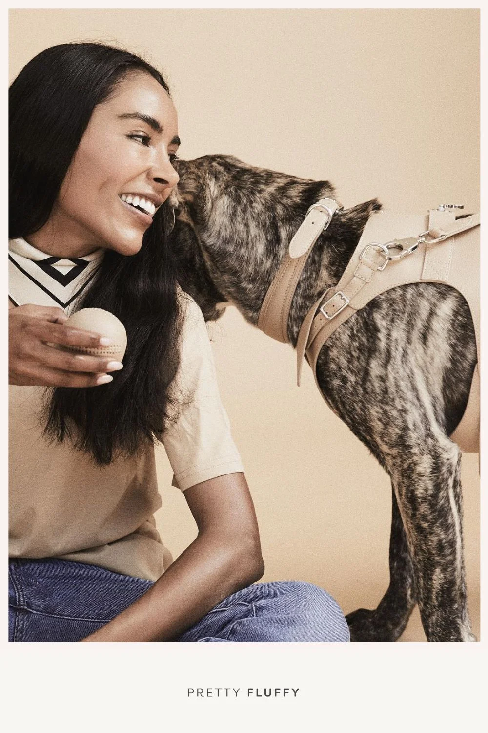 Pagerie Designer Dog Harness - Featured on Pretty Fluffy