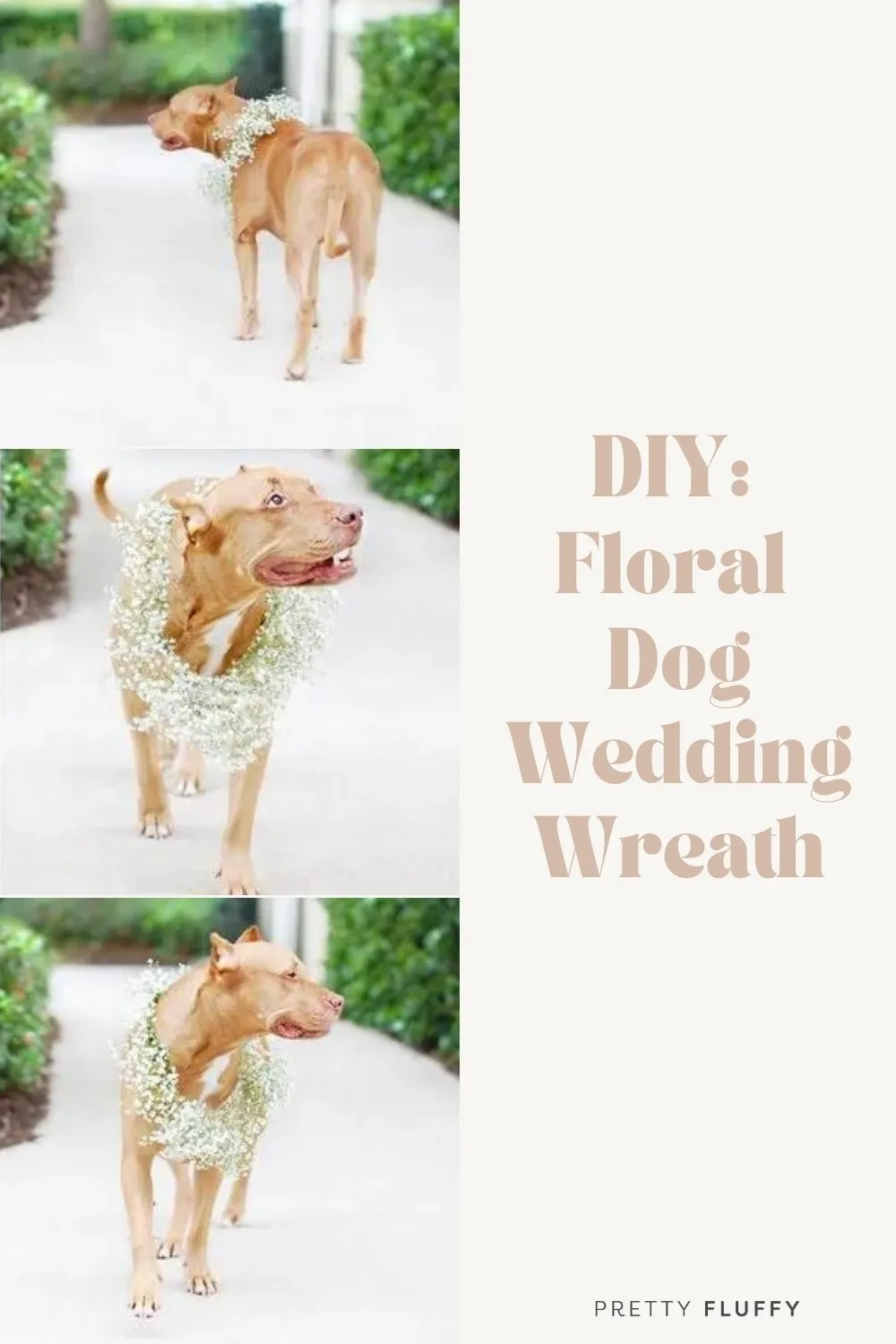 Floral wedding wreath for dog