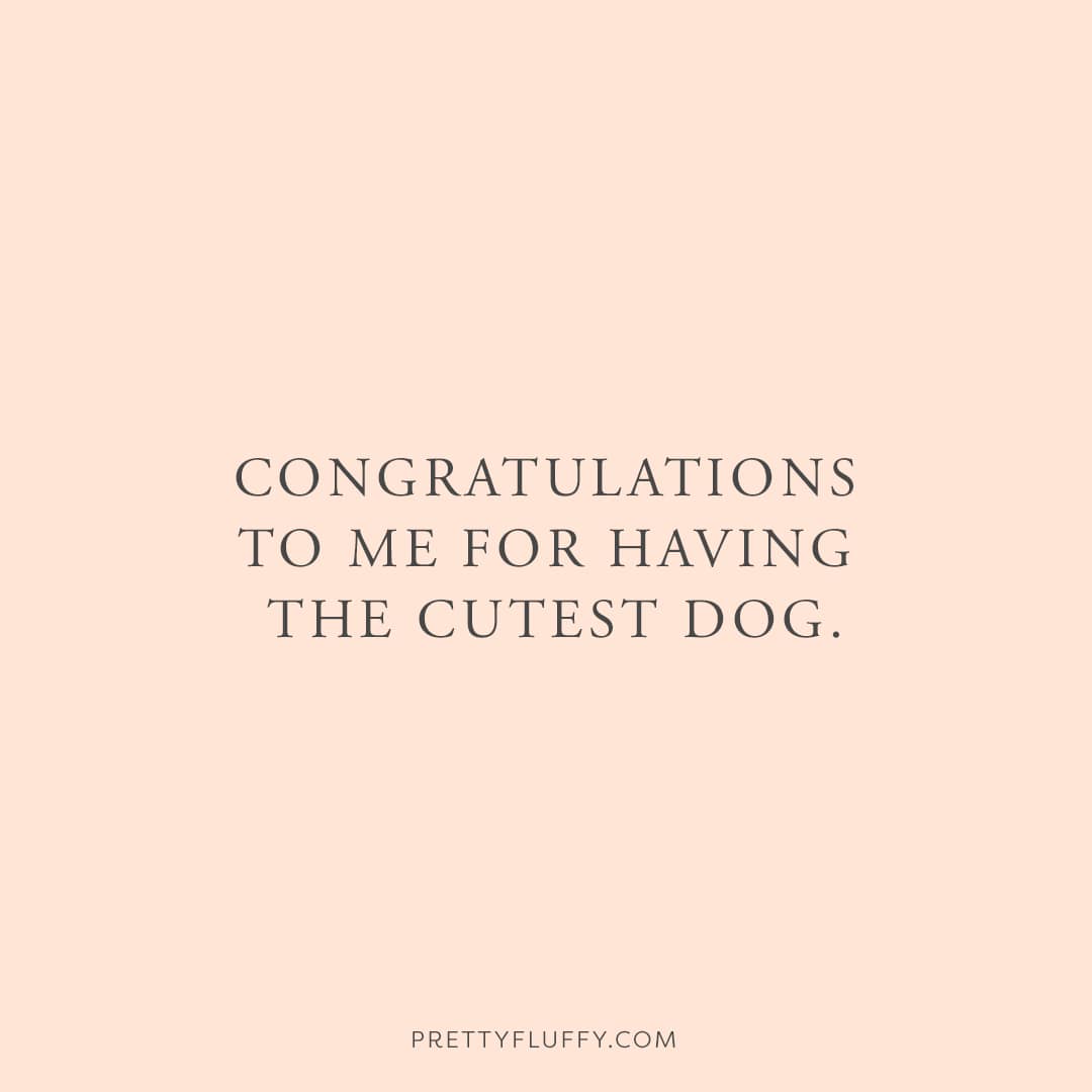 funny dog mom meme - the cutest dog