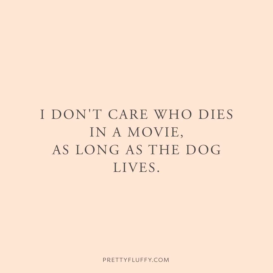"I don't care who dies in a movie, as long as the dog lives."