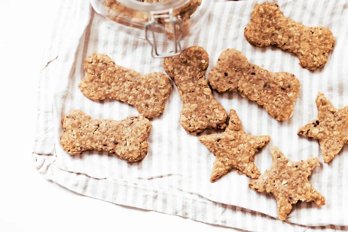 homemade peanut butter and banana dog treats spread on table cloth