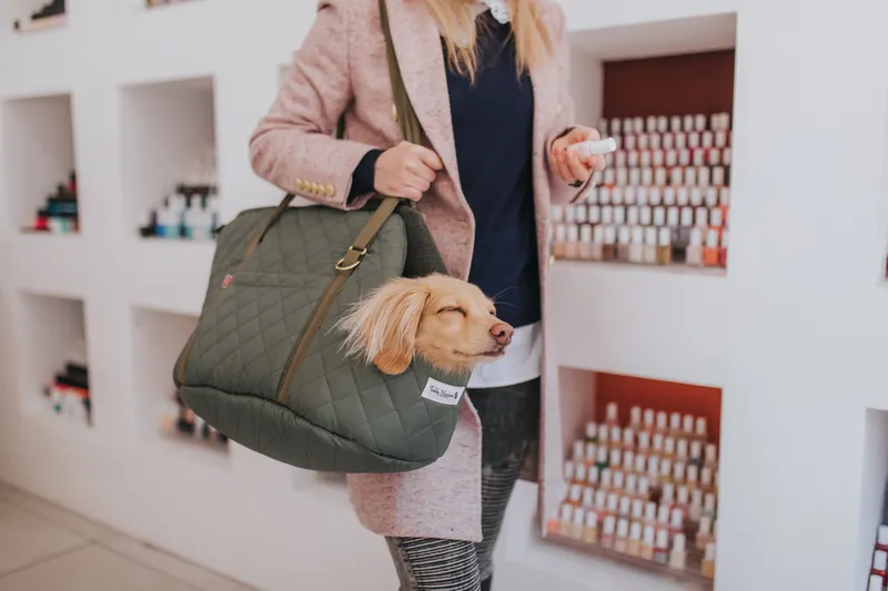 Woman in shop carrying luxury pet carrier by Teddy Maximus