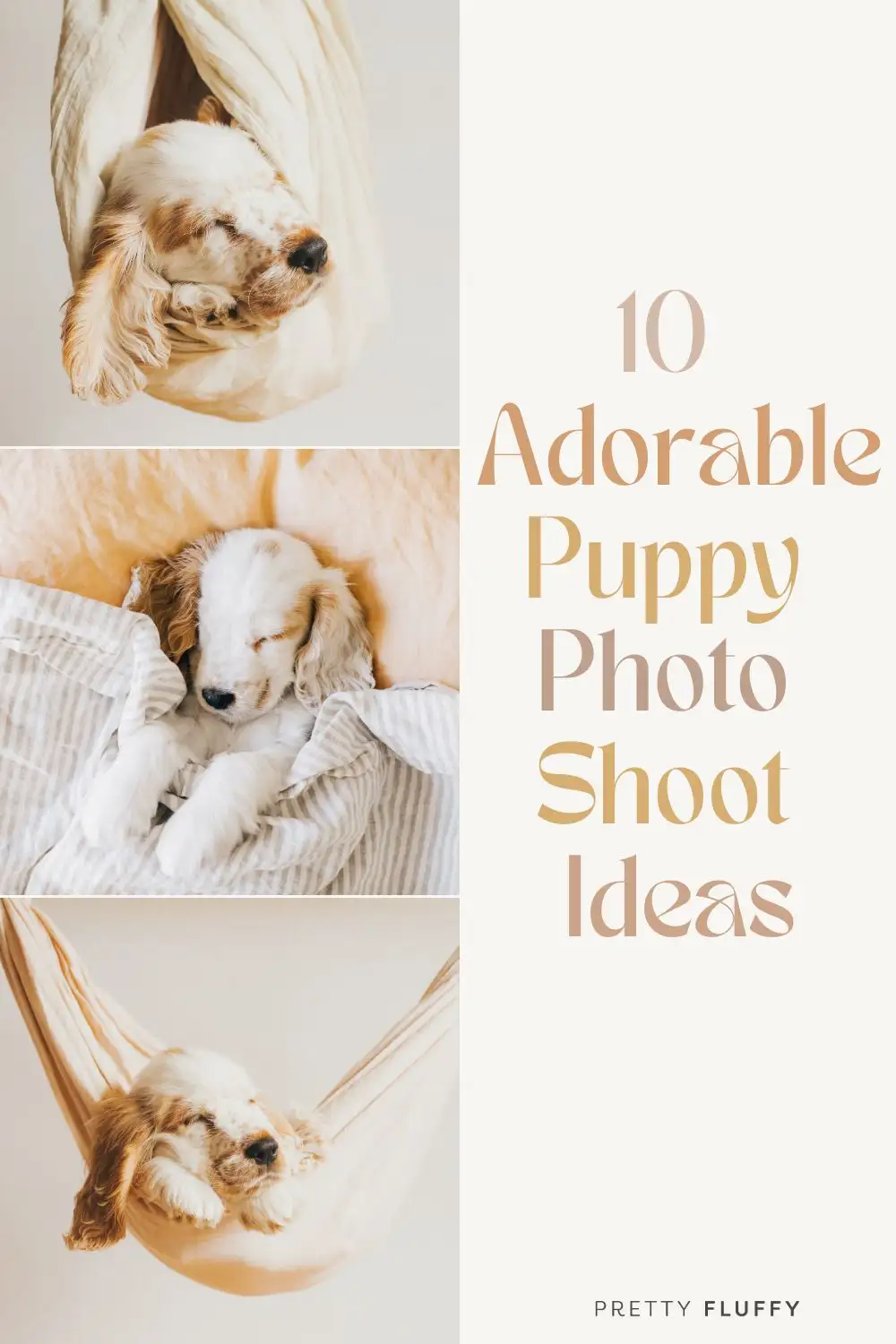 10 Adorable Puppy Photo Shoot Ideas | Puppy Photography Tips | Pretty Fluffy