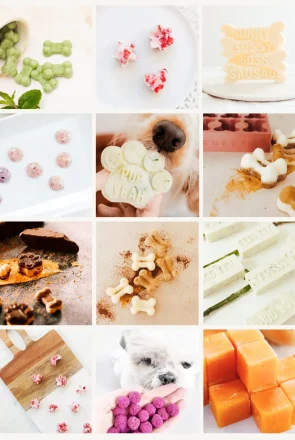 10 Frozen Dog Treat Recipes To Keep Your Pup Deliciously Cool