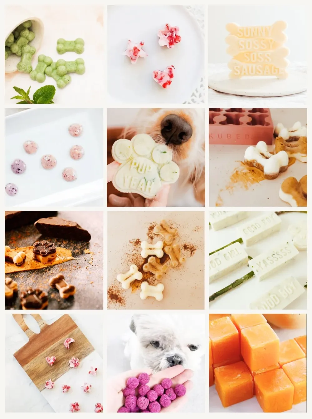 10 Frozen Dog Treat Recipes To Keep Your Pup Deliciously Cool