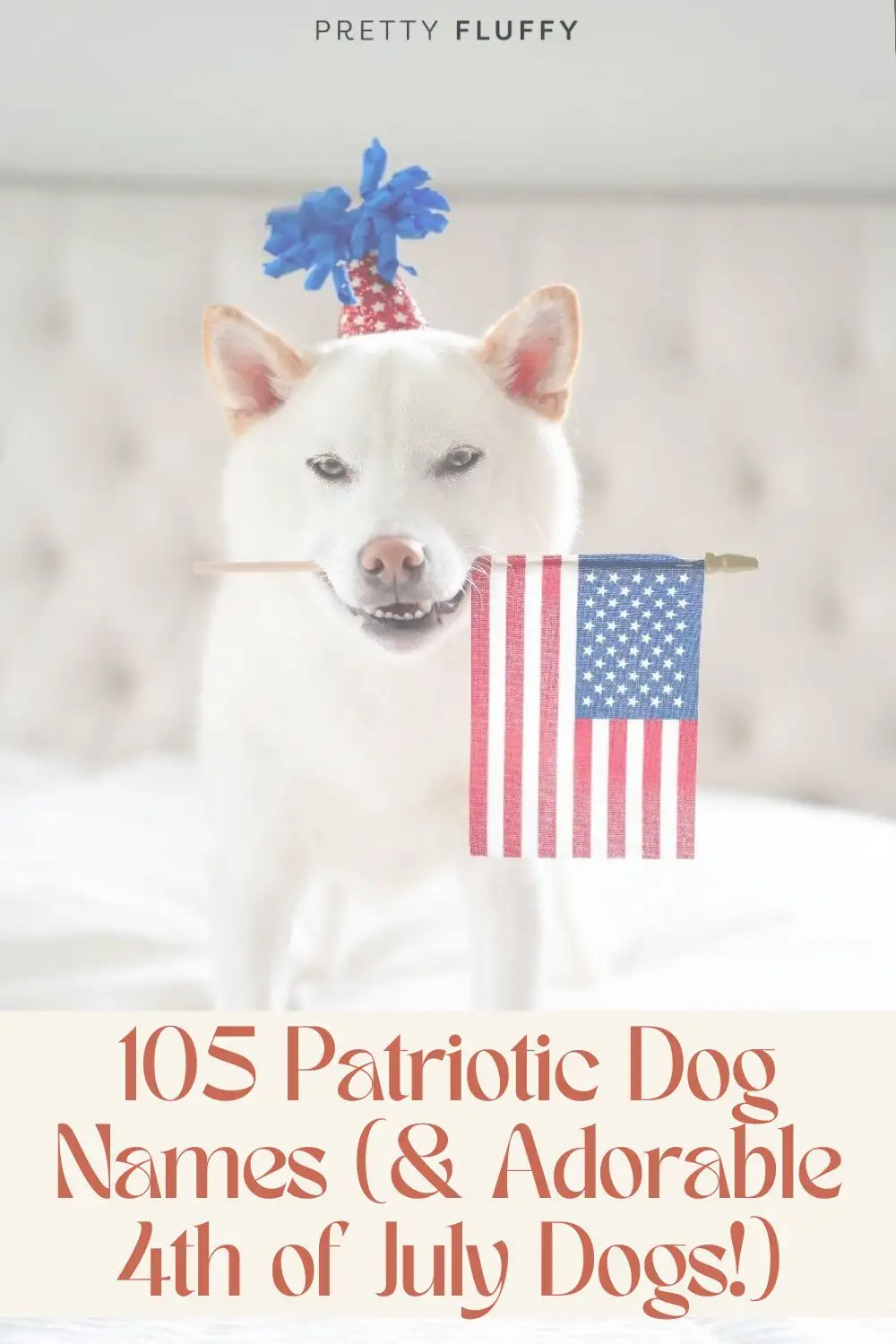 105 Patriotic Dog Names (& Adorable 4th of July Dogs!)