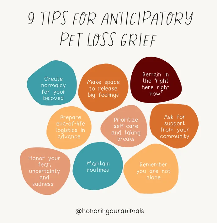 Anticipatory Pet Loss Grief Tips