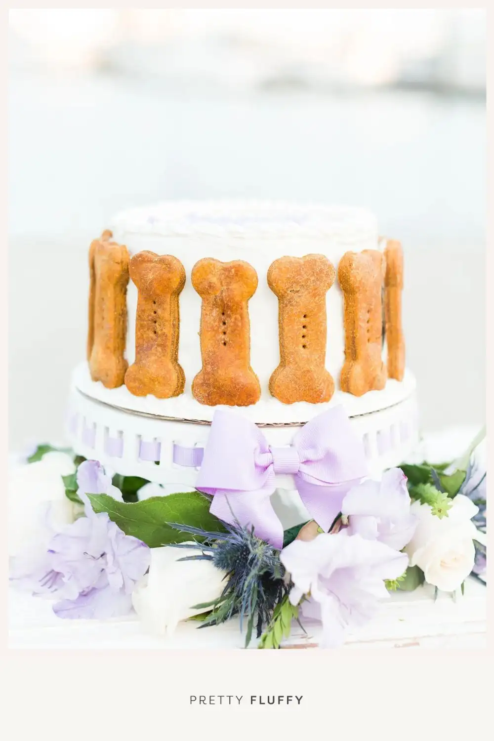 Expert tips on how to do a dog cake smash and how to capture the perfect dog birthday photos - fuss free and budget friendly.