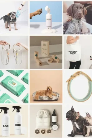 Eco-Friendly-Pet-Products-for-World-Environment-Day