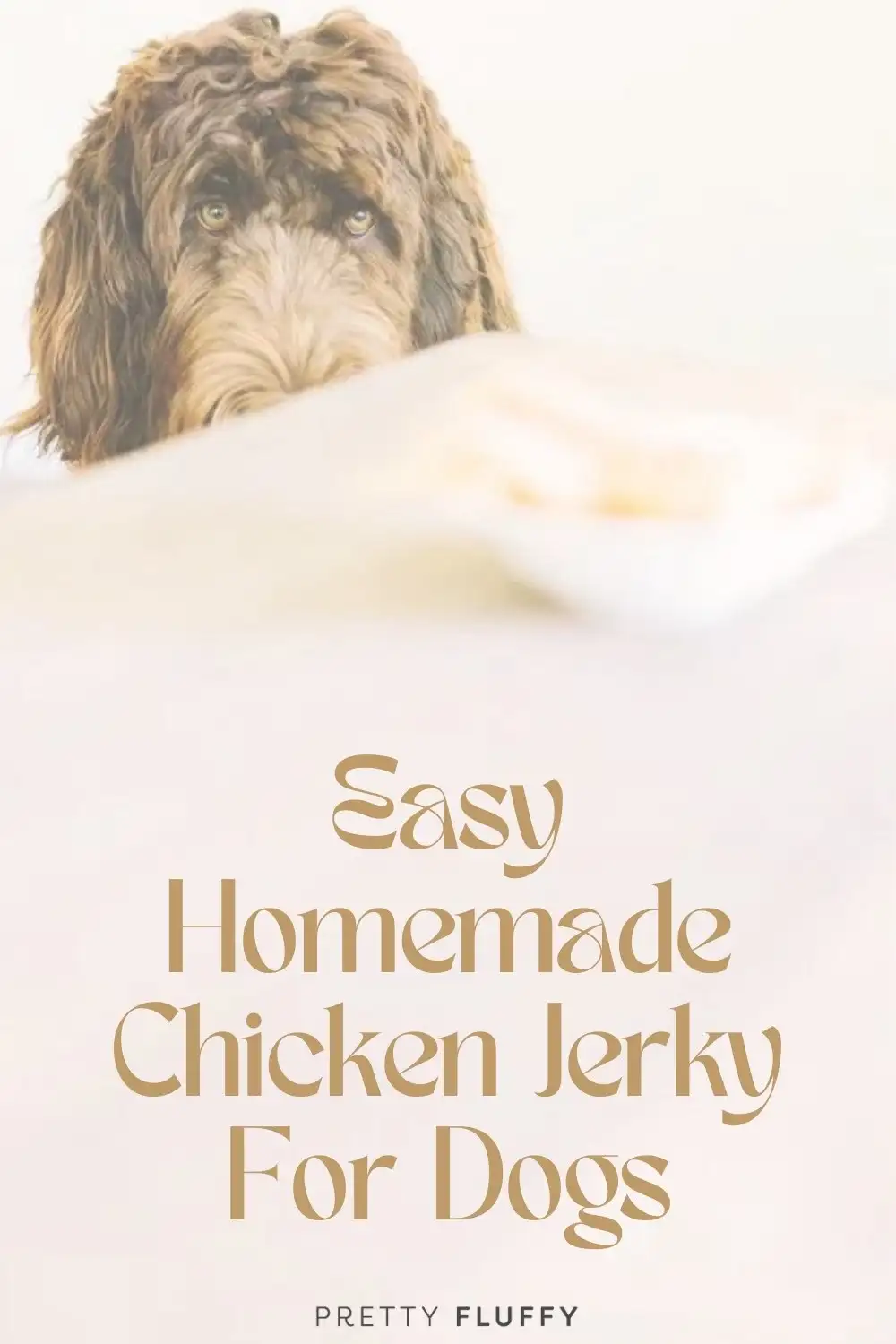 Chicken Jerky for Dogs Recipe