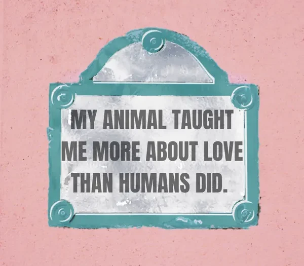 my animal taught me more about love than humans did