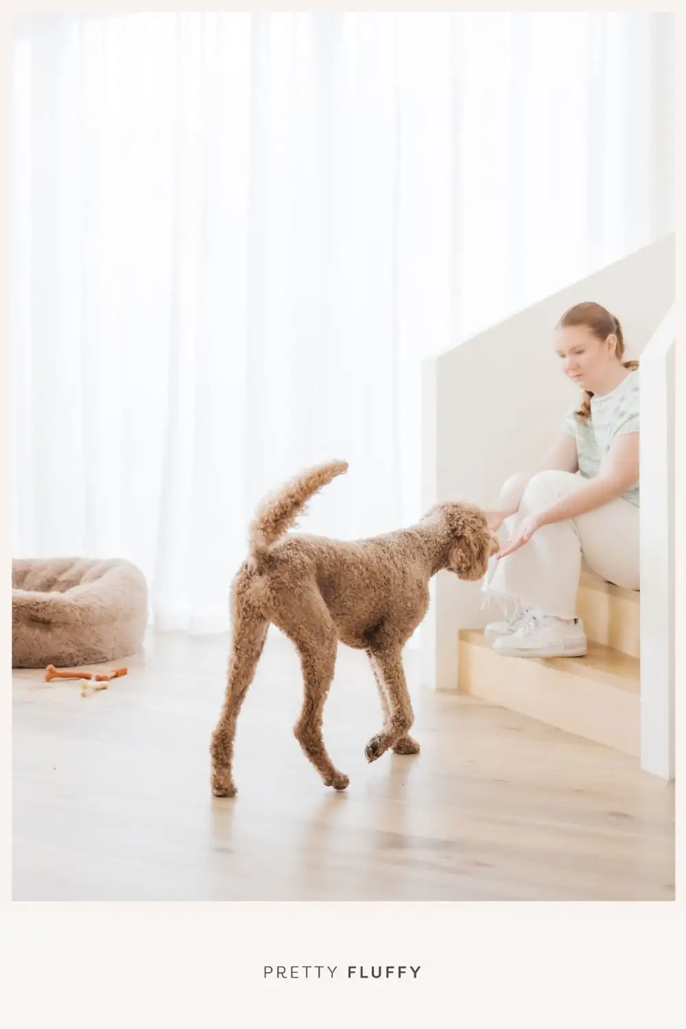 5 Skills to Teach Your Dog When Around Children