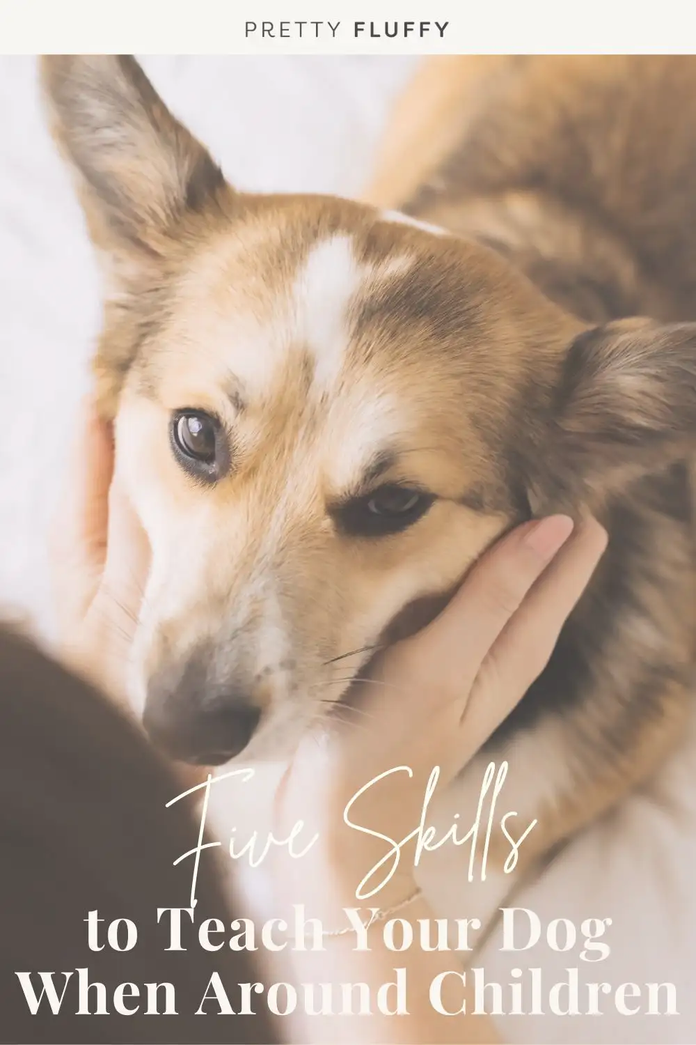 5 Skills to Teach Your Dog When Around Children