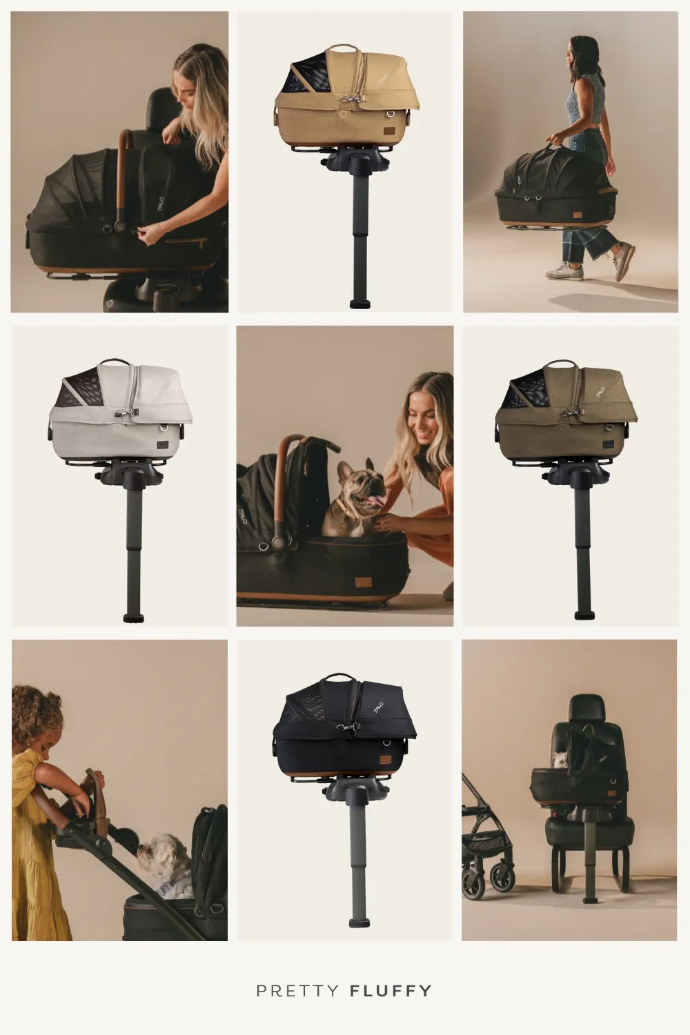 Behind the Brand_ Tavo Pets