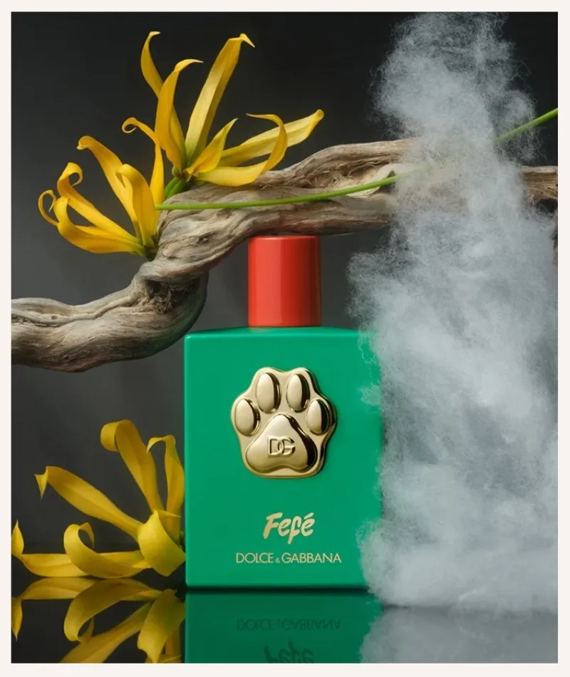 Dolce & Gabbana Dog Perfume
