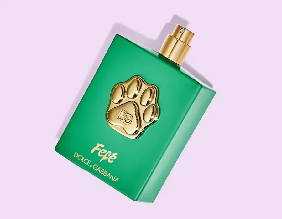 luxury perfume for dogs by Dolce&Gabbana