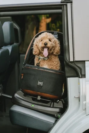 TAVO pet car seat carrier