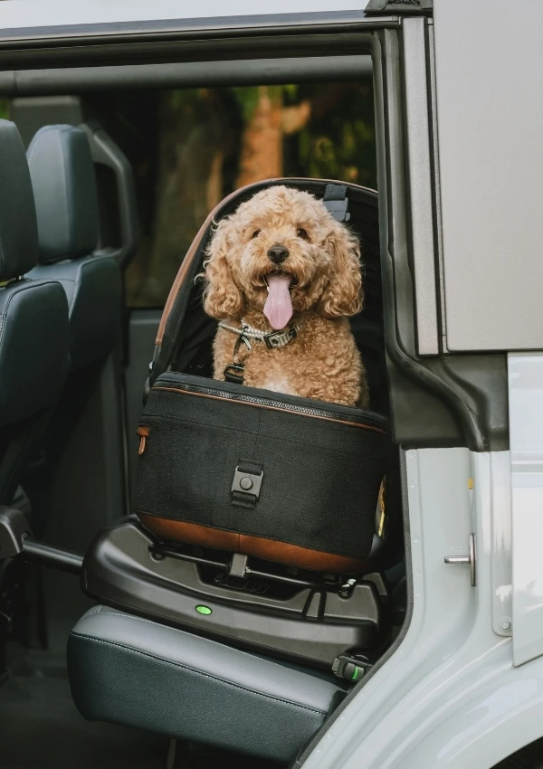 TAVO pet car seat carrier