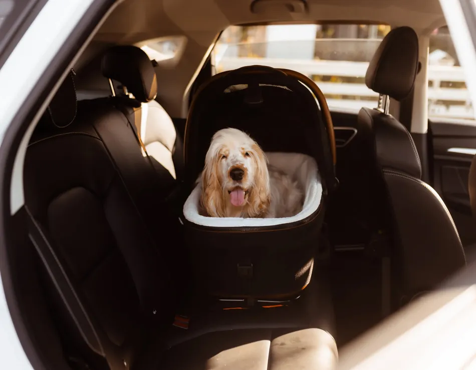 luxury pet car seat carrier by Tavo Pets Australia