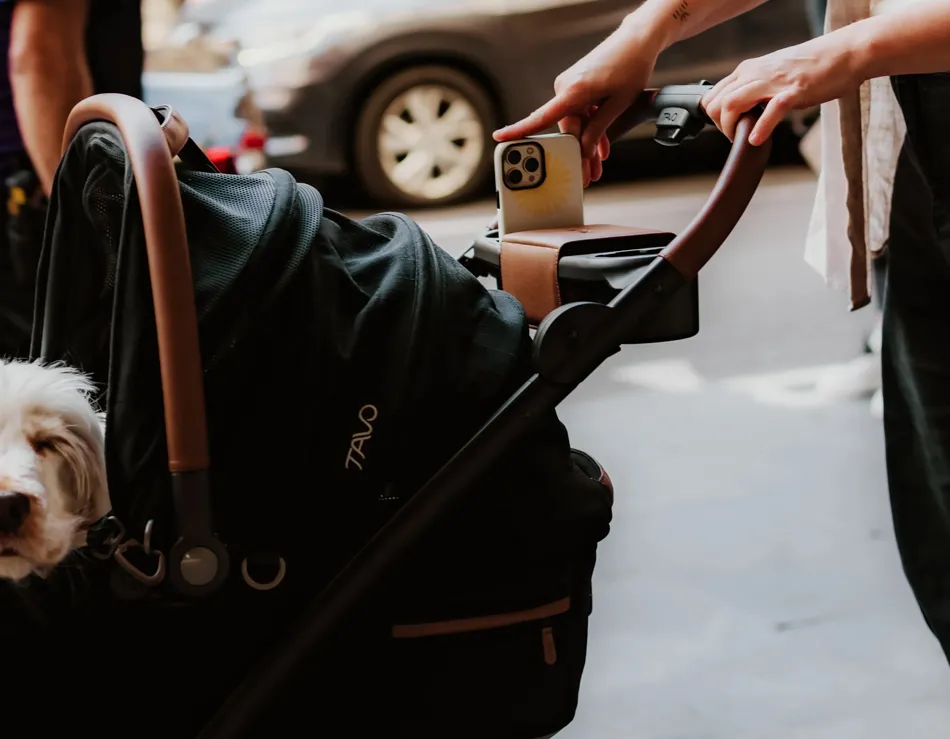 modern pet stroller by Tavo Pets Australia