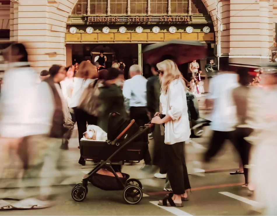 city dog mum with Tavo pet stroller