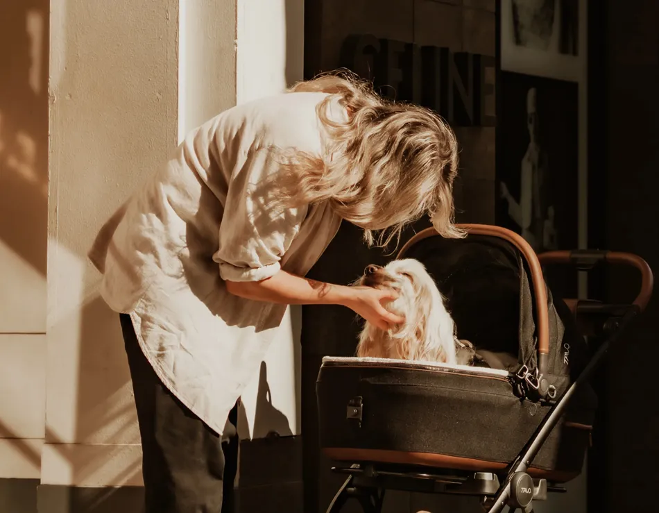 Pet Stroller Review - Tavo Pets