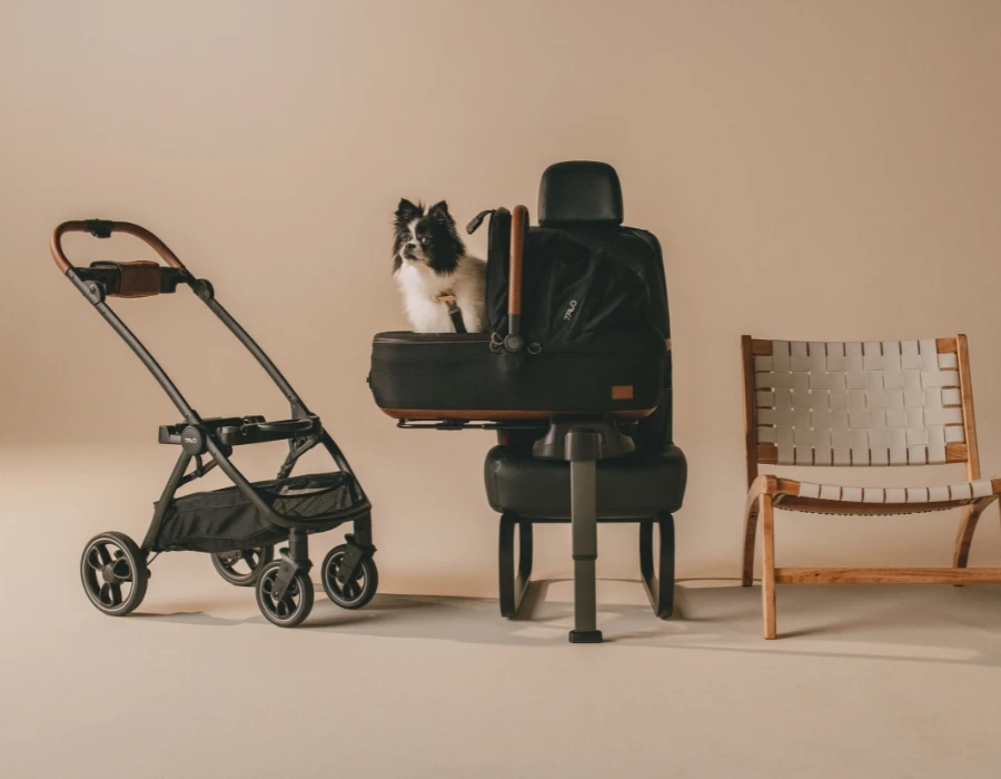 Luxury pet car seat carrier by Tavo Pets