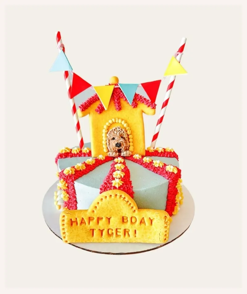 circus themed dog birthday cake