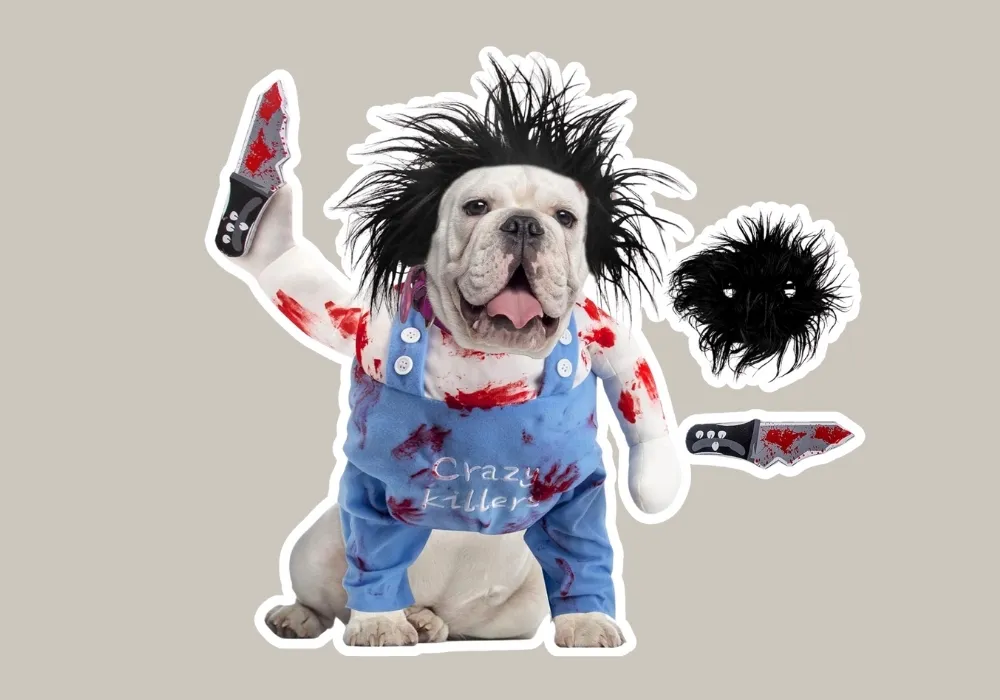 Child's Play Chucky Doll Halloween dog costume