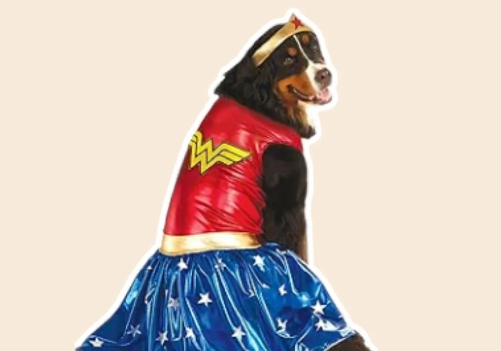 Wonder Woman Halloween costume for dogs
