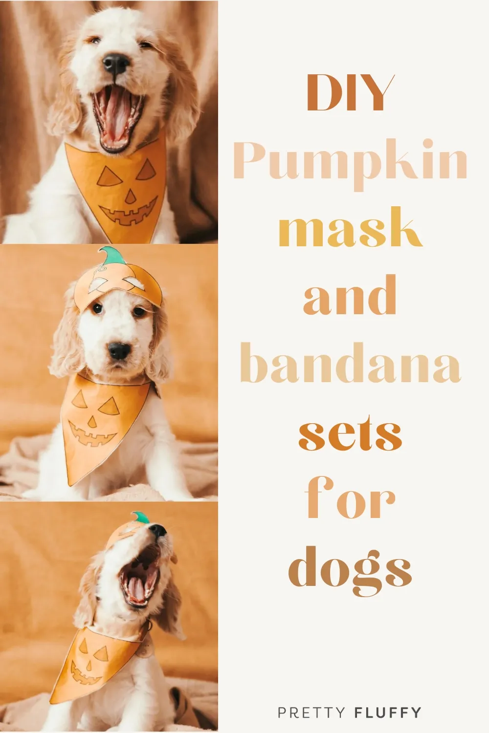Puppy in Halloween Costume - DIY No Sew Halloween Dog Pumpkin Mask and Bandana