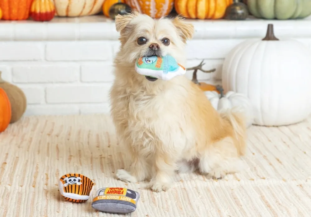 Fringe Studio Halloween Plush Squeaker Dog Toys - Fright Nights 3 Minis