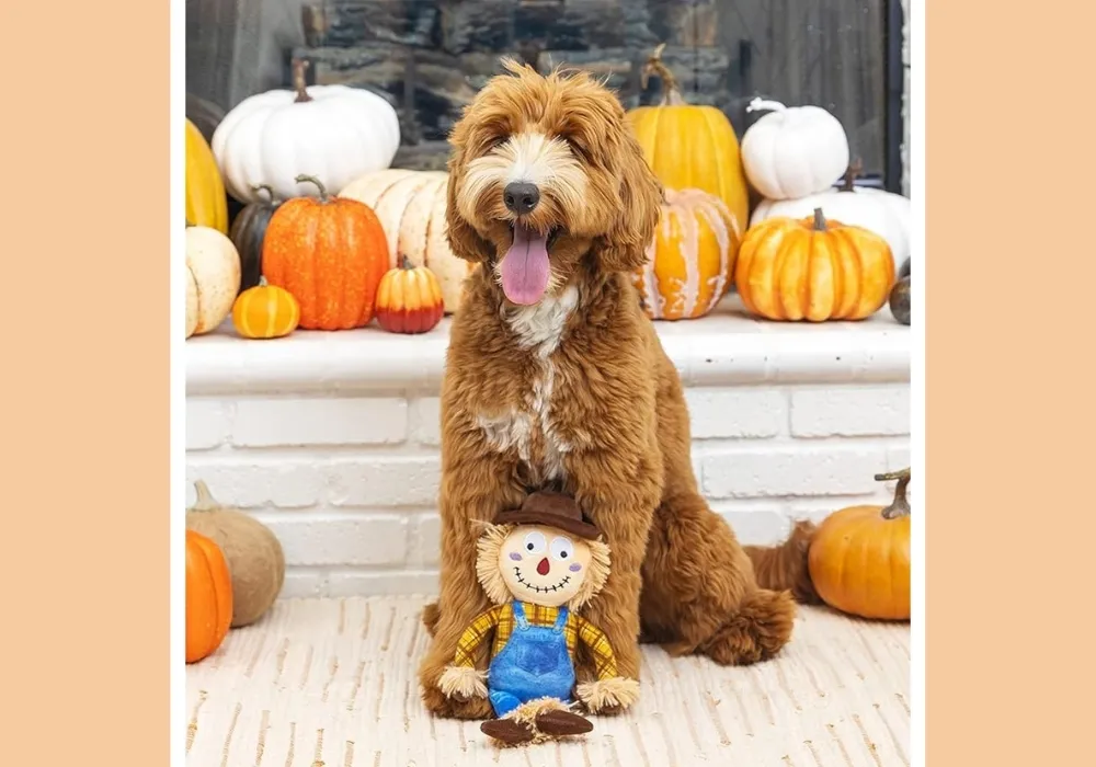 Fringe Studio Plush Dog Toy - On My Last Straw