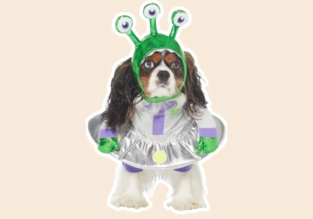 Alien Dog Costume for Halloween
