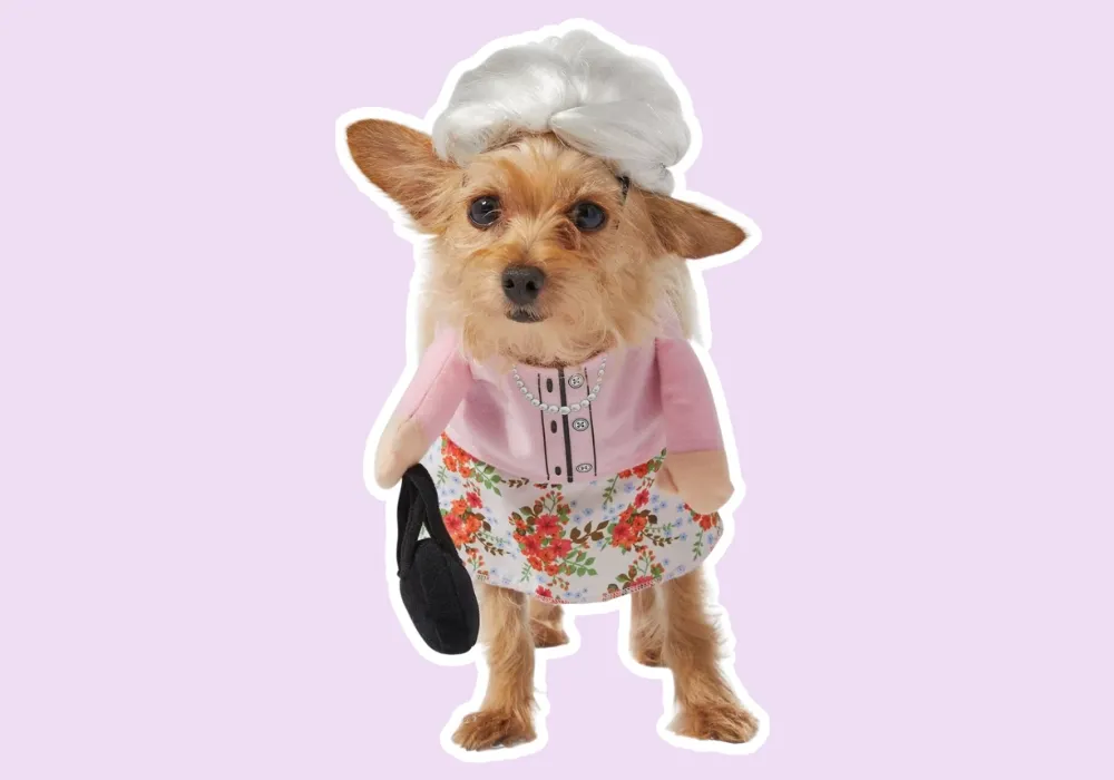 grandma Dog Costume