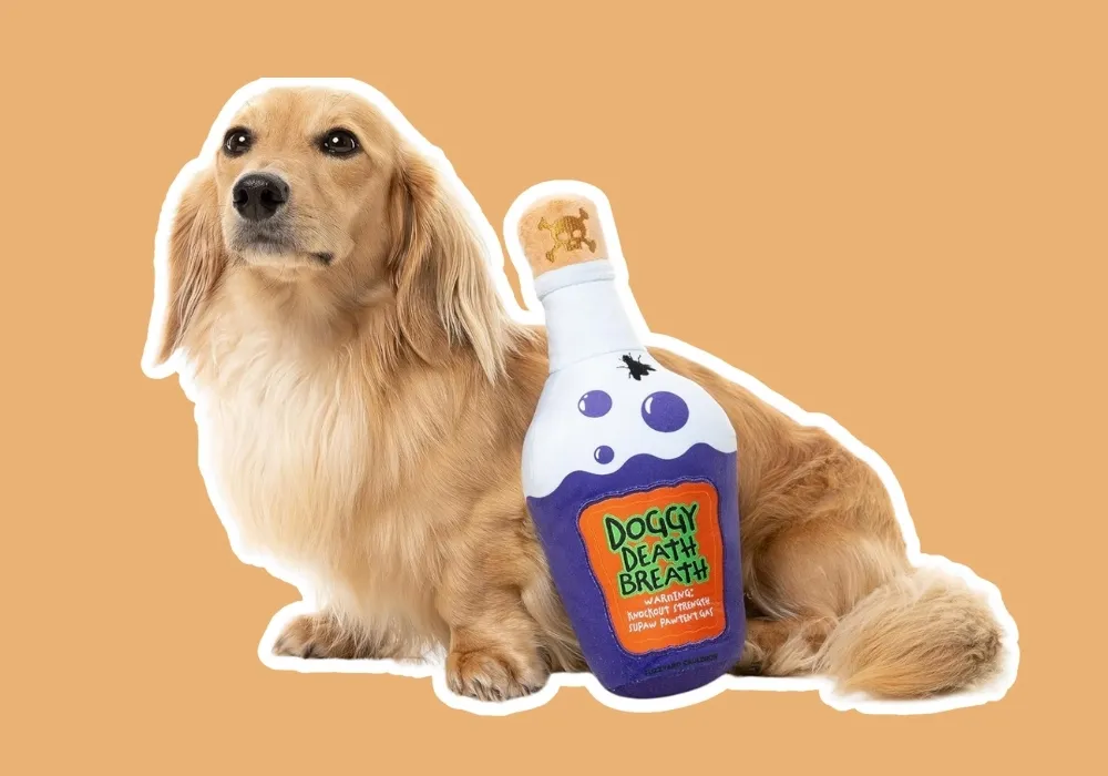 Fuzzyard Halloween Doggy Death Breath Potion Spooky Plush Dog Toy For All Breed Sizes